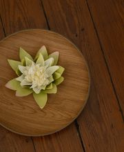 voyage des sens image 4