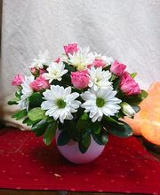 Edgewood Flowers image 6