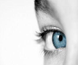Optique Billom image 3