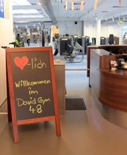 David Gym 48 Bild 1