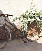 Gros lierre fleurs image 7