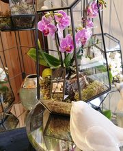 AU GRE DES FLEURS image 19