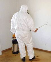 Schädlingsbekämpfung Schemeth GmbH Bild 2