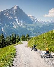 First Mountain Cart Bild 1