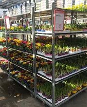 HELLWEG - Die Profi-Baumärkte Falkensee Bild 11