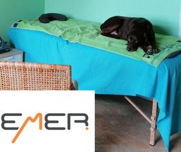 Dog Ways Hundecenter Bild 5