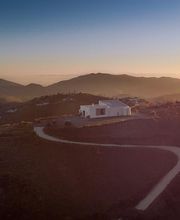 Sedella vinos SL imagen 6