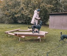Wuff n' Talk Bild 6