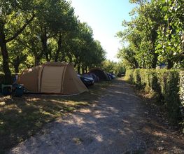 Camping Juantcho image 10