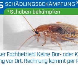 Klavier Zähringer Bild 9