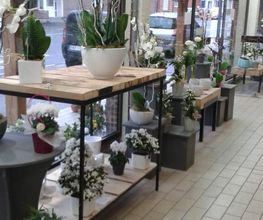 Fanny Fleurs image 10