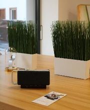 MOSER Hörgeräte Pforzheim Bild 1