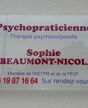 Sophie De Beaumont Nicolas image 10