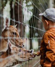 Bambino Learncare - RUDI - Bild 11