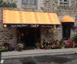 Petite Fleur image 8