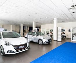 Gallery Cliente