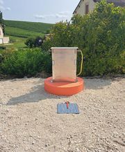 Champagne Petit-Triolet image 4