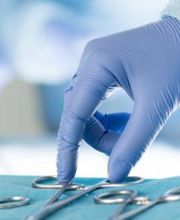 Dojcinovic Ivan Bild 3