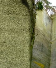 Atelier Waldhuus Hauri GmbH Bild 20