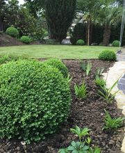 Beell.L Paysage image 1