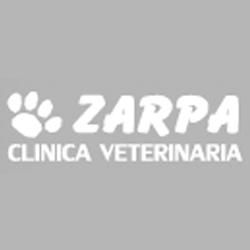 Clinica-Veterinaria-Zarpa.jpg