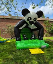 Nord Animation image 7