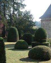 Servonnat Philippe image 3