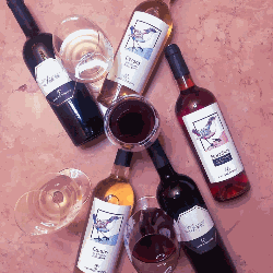Cantina TEDESCO Azienda Vitivinicola logo