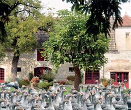 La Campagnoise image 6