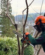 WhatsApp Image 2026-01-31 at 19.27.40 (5).jpeg