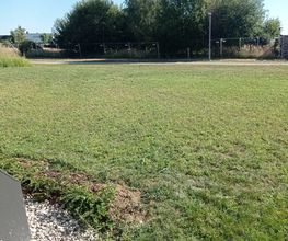IMG_20260814_093656.jpg