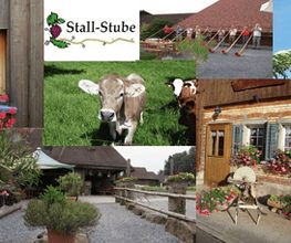 Stallstube Bild 3
