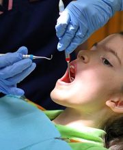 Hogan & Graceffo Dental Services, PLLC image 4