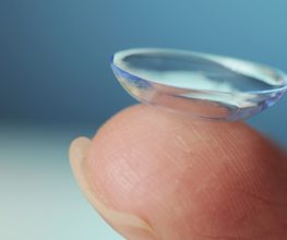 Vierlanden Optik Bild 1
