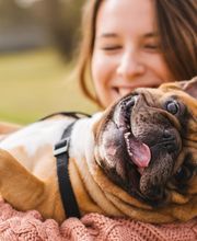 TotalBond Veterinary Hospital at Forestbrook image 10