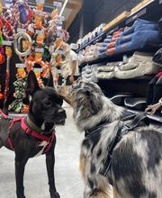 Tom&Co Saint-Nicolas-de-Port image 8