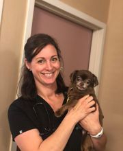 Veterinary Medical Center image 10