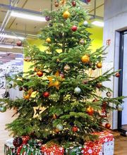 Lieser - mehr als nur Fitness Bild 14