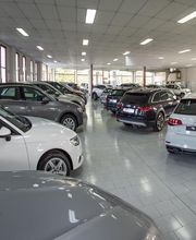 Gallery Cliente