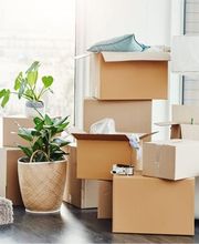 HG TRANSPORTES - Mudanzas, Vaciado de Pisos y Transportes en Tenerife imagen 7