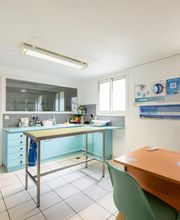 Clinique vétérinaire Horizon - La Réole - Sevetys image 13