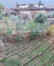 Caccia Giardini Sagl Bild 12