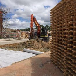 Ferreira TP & Collect