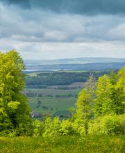 FriedWald Elisenruhe Bild 8