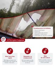 Attila image 6