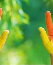 sautter malerarbeiten ag Bild 2