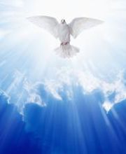 Evangelismo a fondo imagen 5