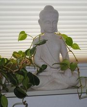 Physiotherapie/Massage/Yoga Spilker Bild 1