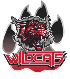 Wildcats Cheerleader Leverkusen e.V.