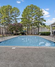 Elements of Madison Apartments image 13
